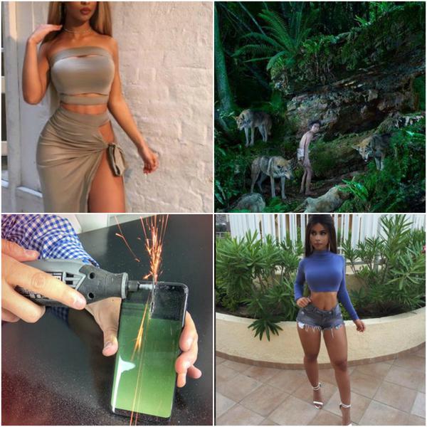 Faze tari, Foto: Colaj foto