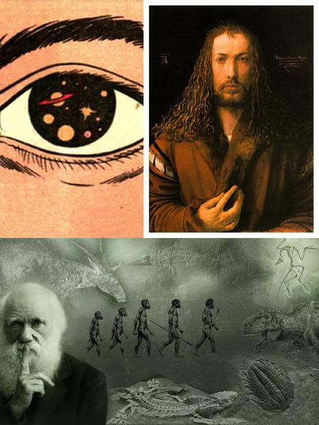 Darwin LSD, Foto: Hotnews