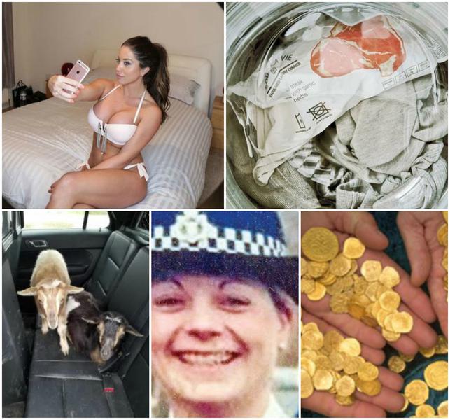 Faze tari, Foto: Colaj foto