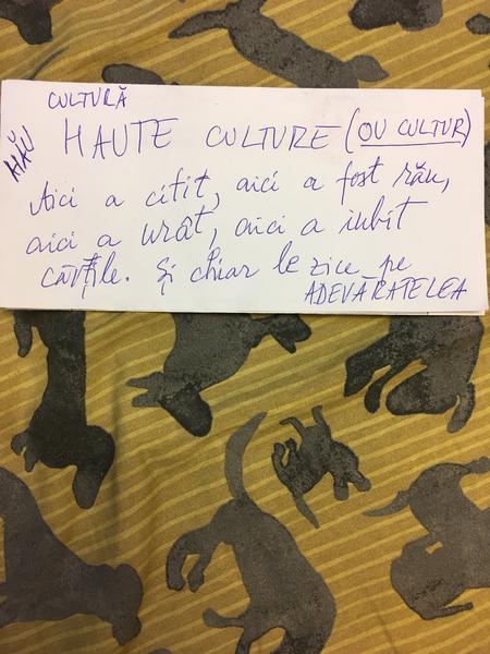 Haute Culture, Foto: Hotnews