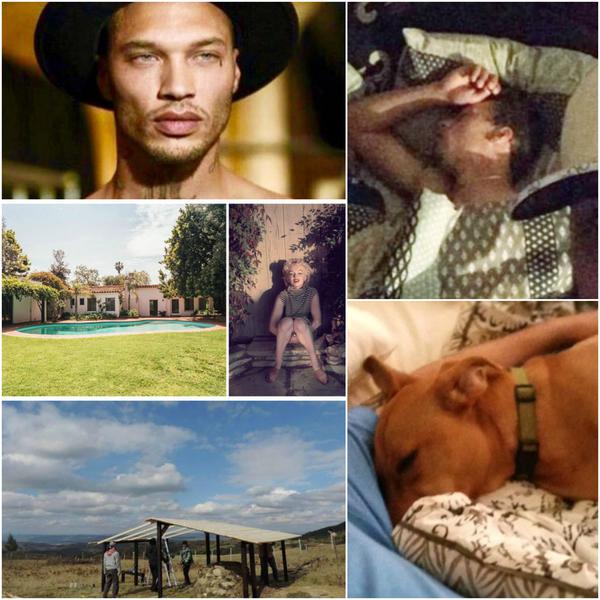 Faze tari, Foto: Colaj foto