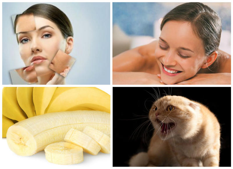 Utile, Foto: Colaj foto