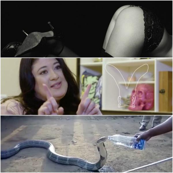 Faze tari, Foto: Colaj foto