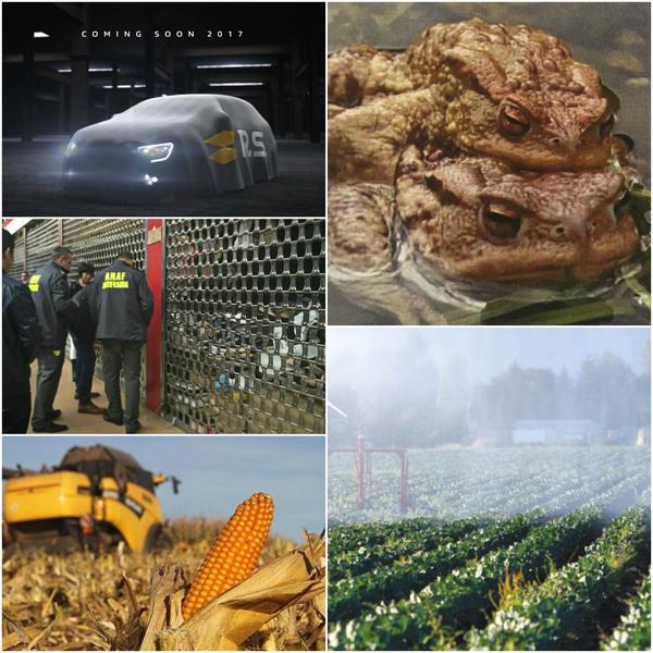 Business report, Foto: Colaj foto