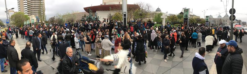 Revolta Florarilor, Foto: Hotnews