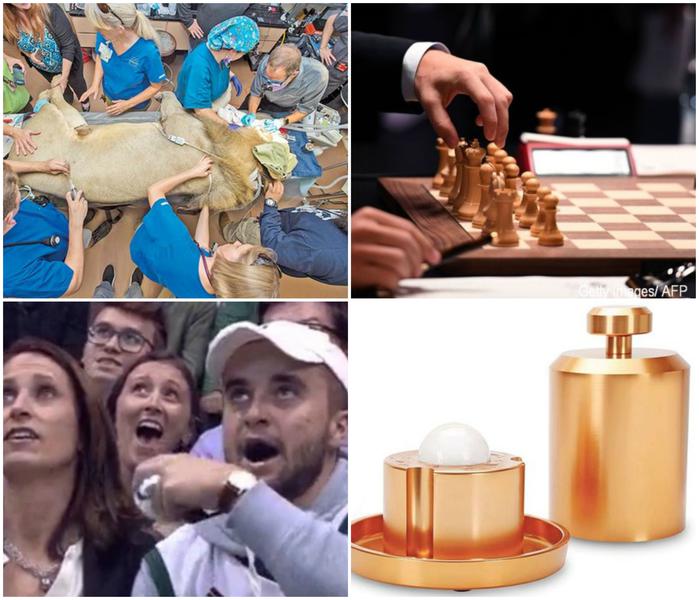 Faze tari, Foto: Colaj foto