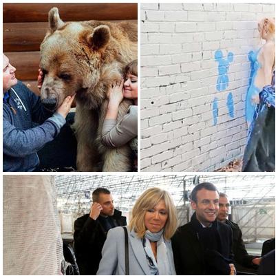 Faze tari, Foto: Colaj foto