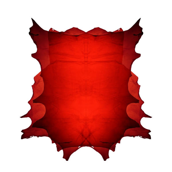 Prima piele moale transparenta din lume, Foto: ECCO