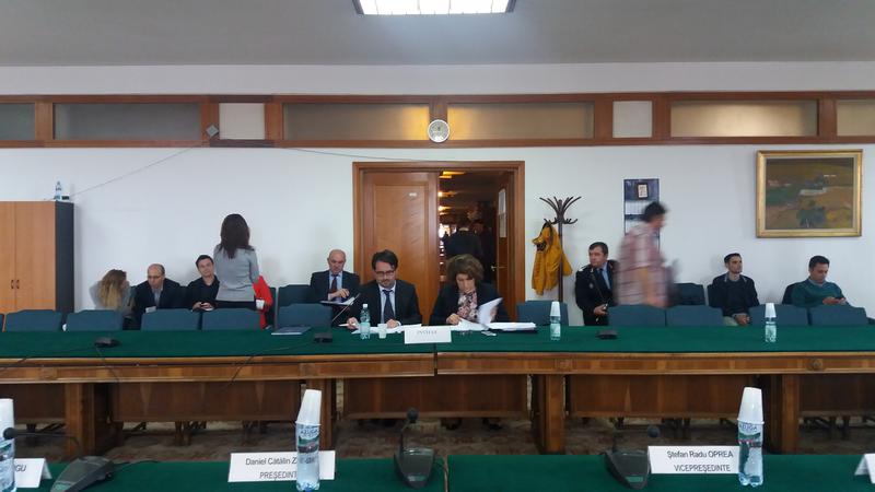 Imagine de la audierile de miercuri, Foto: Hotnews