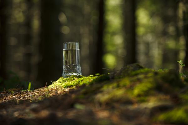 Apa alcalina, Foto: AquaVIA