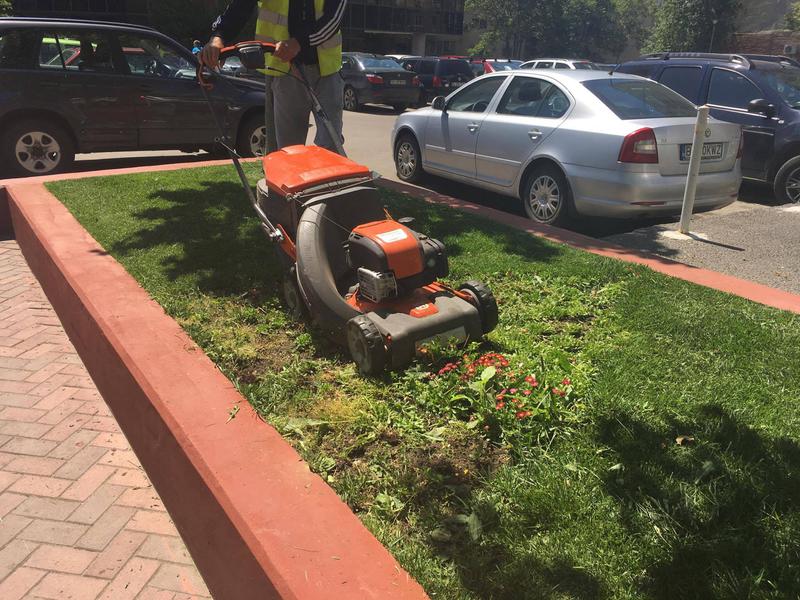 Intretinerea spatiilor verzi sectorul 3 - foto 2, Foto: Hotnews