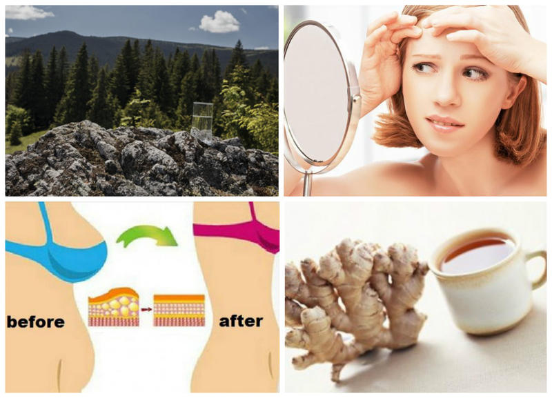 Utile, Foto: Colaj foto