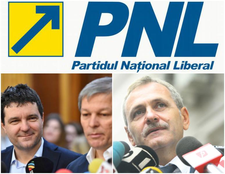 Politic show, Foto: Colaj foto