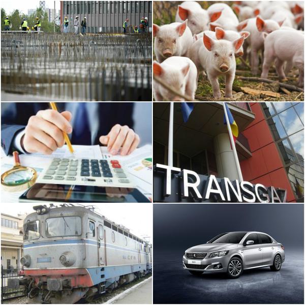 Business report, Foto: Colaj foto