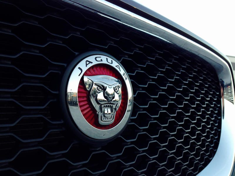 Sigla Jaguar, Foto: 0-100.ro