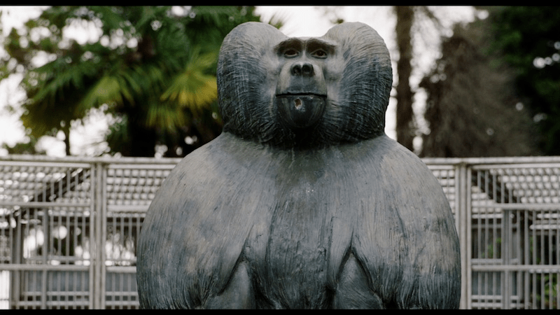 Ouale lui Tarzan, Foto: Hotnews