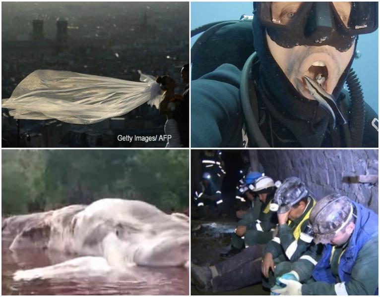 Faze tari, Foto: Colaj foto