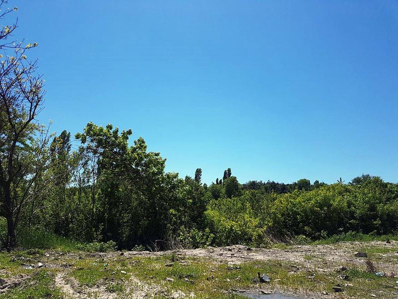 Spatiul verde pe care se doreste amenajarea parcarii 2, Foto: Hotnews