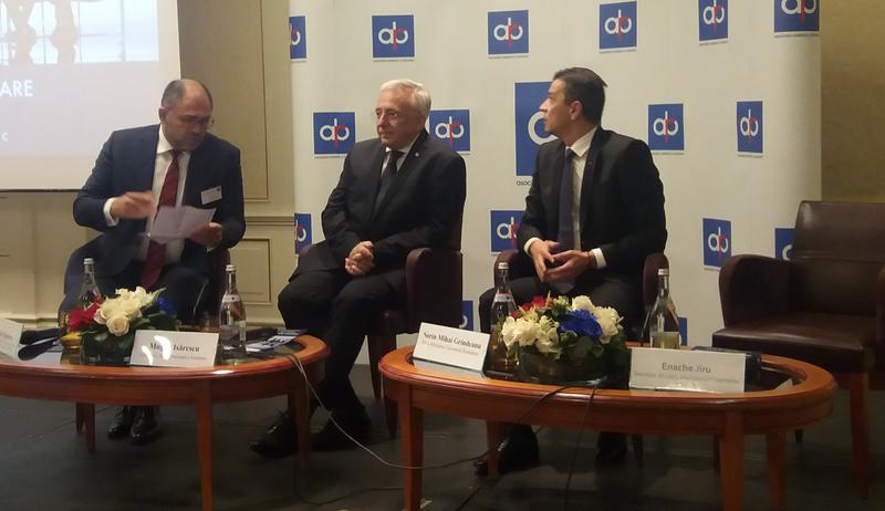 Imagine de la conferinta de luni, Foto: Hotnews