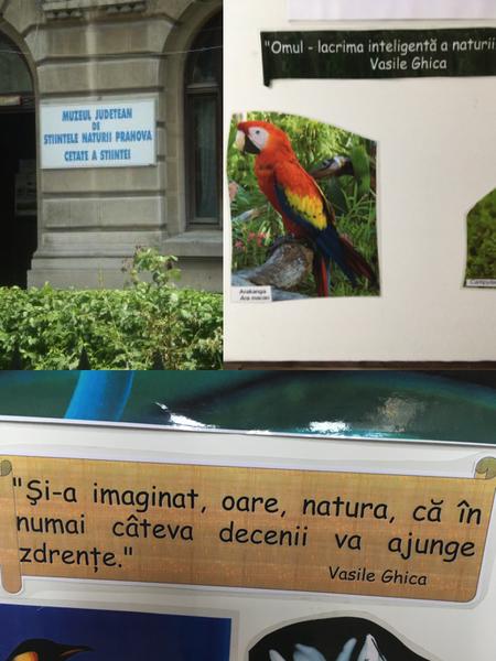 Muzeul de Stiintele Naturii Prahova, Foto: Colaj foto