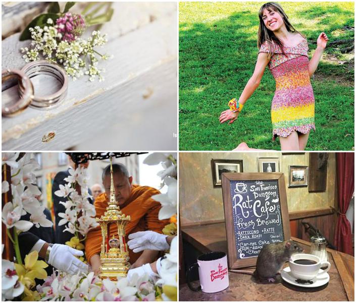 Faze tari, Foto: Colaj foto