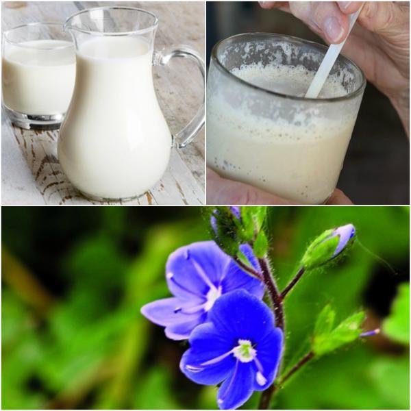 Utile, Foto: Colaj foto