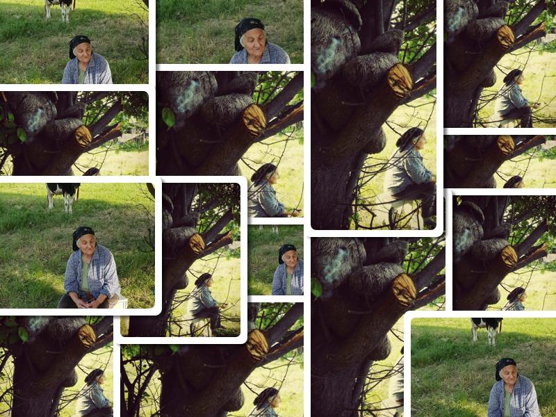 Delta Vacaresti, Foto: Haute Culture