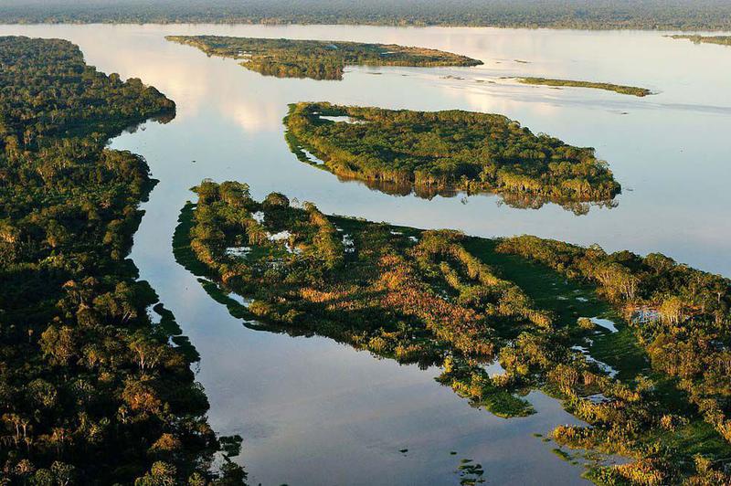 Amazonia, Foto: Instituto Cervantes