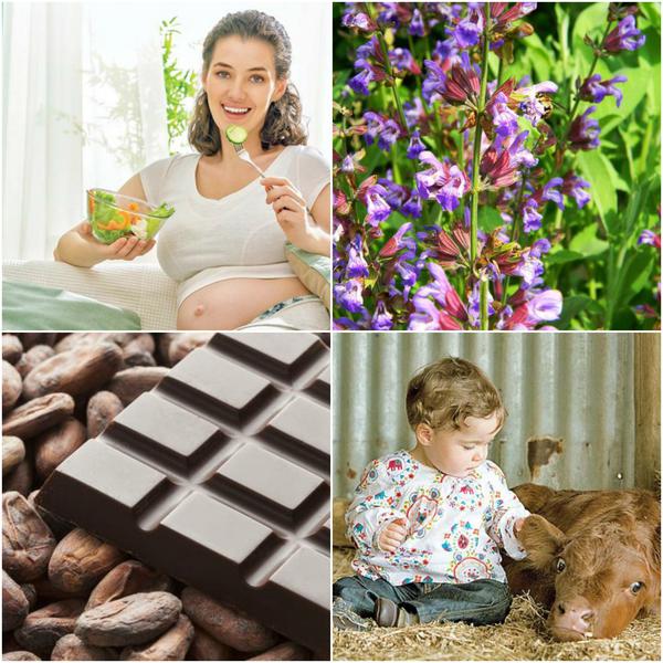 Utile, Foto: Colaj foto