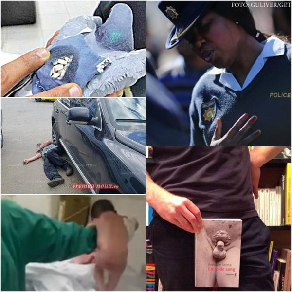 Faze tari, Foto: Colaj foto