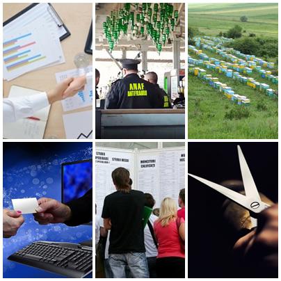 Business report, Foto: Colaj foto