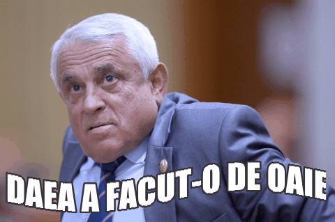 Daea Haute Culture, Foto: Haute Culture