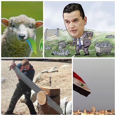 Politic show, Foto: Colaj foto