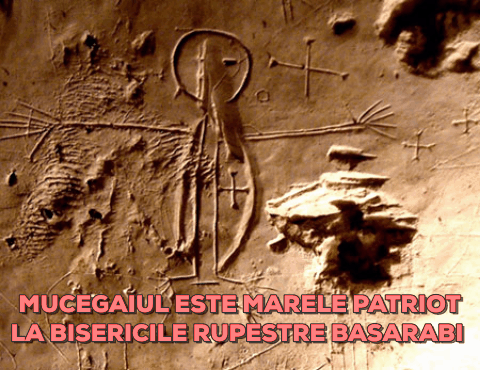 Basarabi-Murfatlar, Foto: Haute Culture