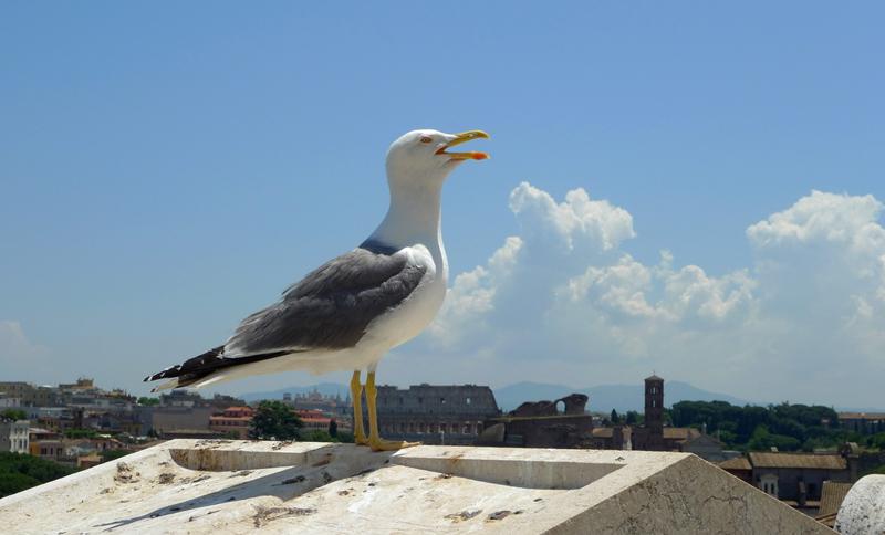 La est, spre Berceni, Foto: Vali02