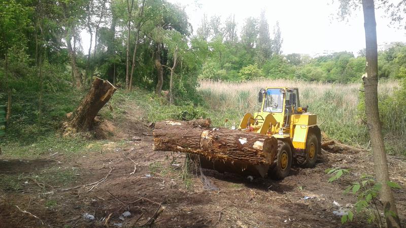 Defrisari Parcul Sticlariei 1, Foto: Hotnews