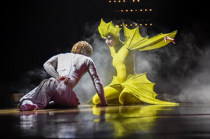 "Varekai" la Bucuresti, Foto: Cirque du Soleil