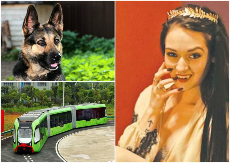 Faze tari, Foto: Colaj foto