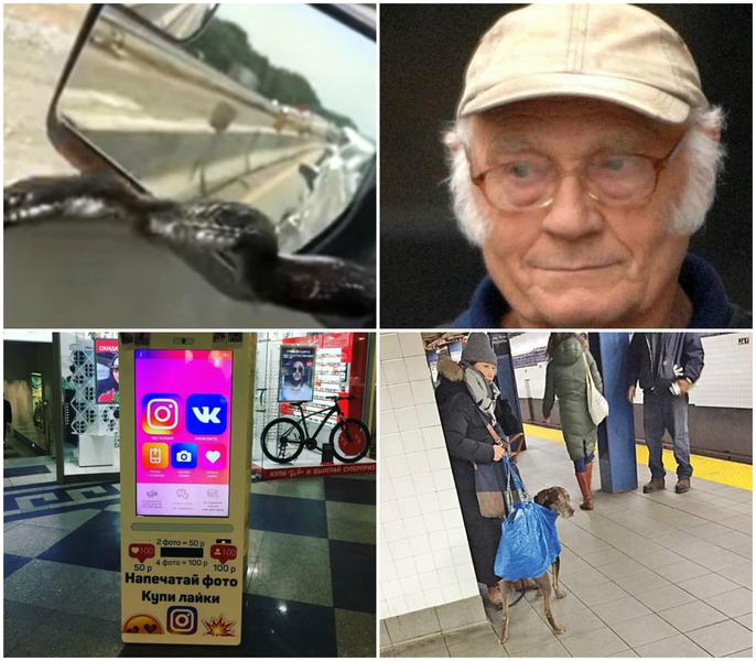 Faze tari, Foto: Colaj foto