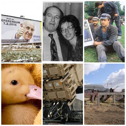 Subiectele zilei, Foto: Colaj foto