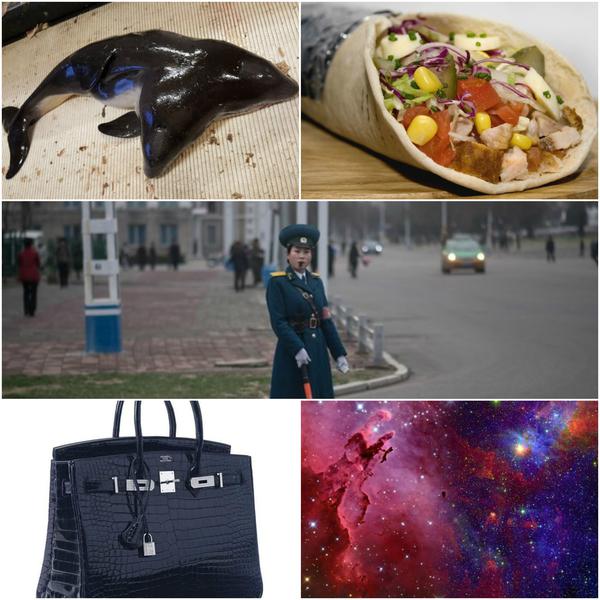 Faze tari, Foto: Colaj foto