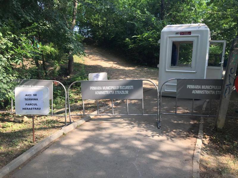 Pod Herastrau 2, Foto: Catalina Dumitrescu