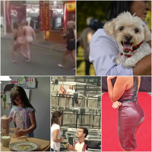 Faze tari, Foto: Colaj foto