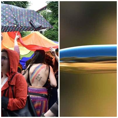 Politic show, Foto: Colaj foto