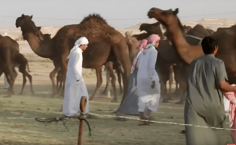 Camile blocate la granita Arabiei Saudite cu Qatarul, Foto: Captura Al Jazeera