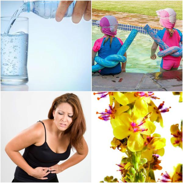 Utile, Foto: Colaj foto