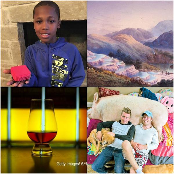 Faze tari, Foto: Colaj foto