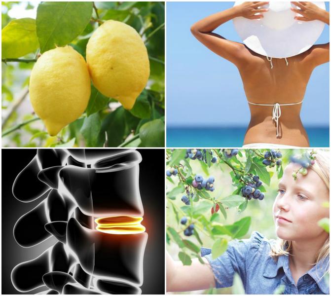 Utile, Foto: Colaj foto