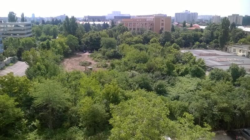 Continua defrisarile!, Foto: USER UPLOADED