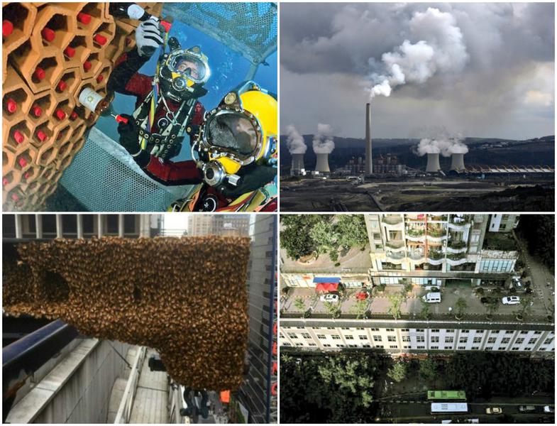 Faze tari, Foto: Colaj foto